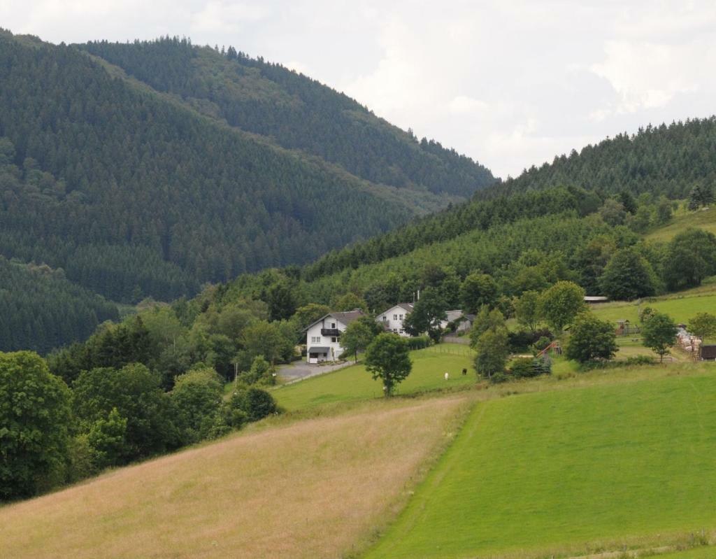 Duempelhof Ferienwohnungen Olsberg Eksteriør billede